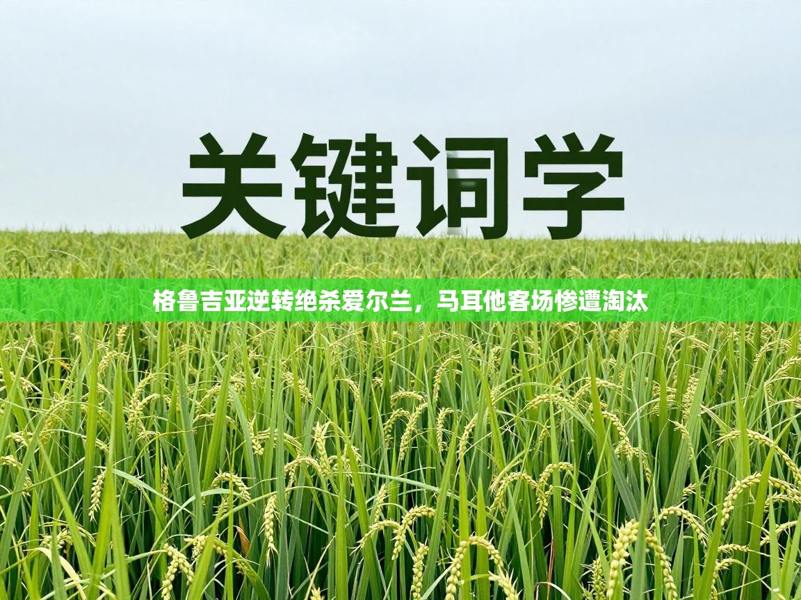 格鲁吉亚逆转绝杀爱尔兰，马耳他客场惨遭淘汰  第1张