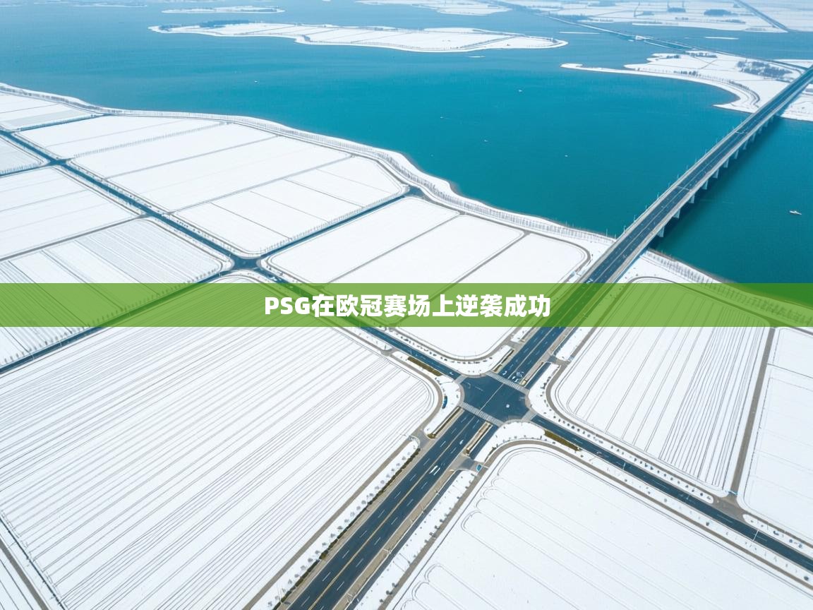 PSG在欧冠赛场上逆袭成功  第2张