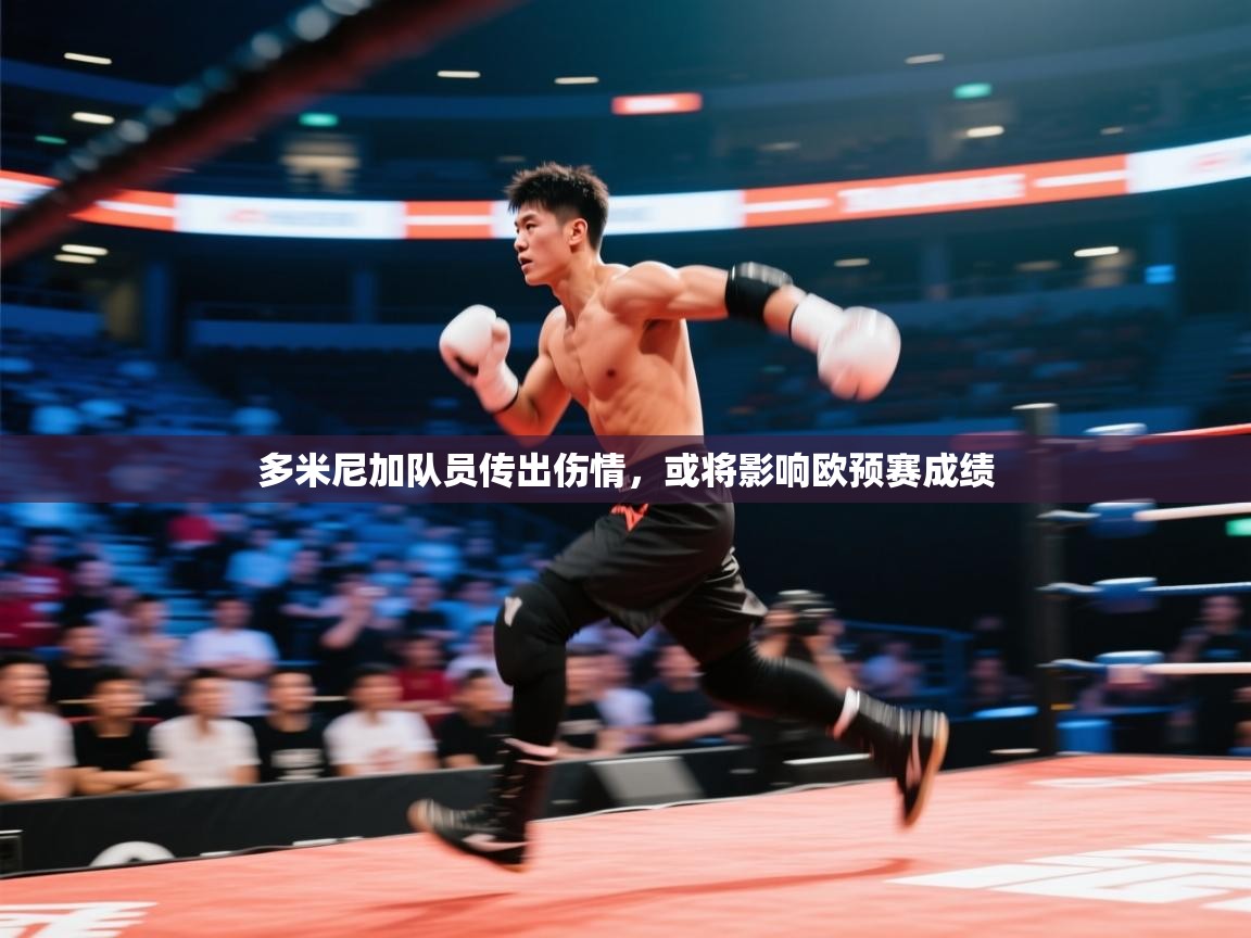 多米尼加队员传出伤情，或将影响欧预赛成绩  第2张