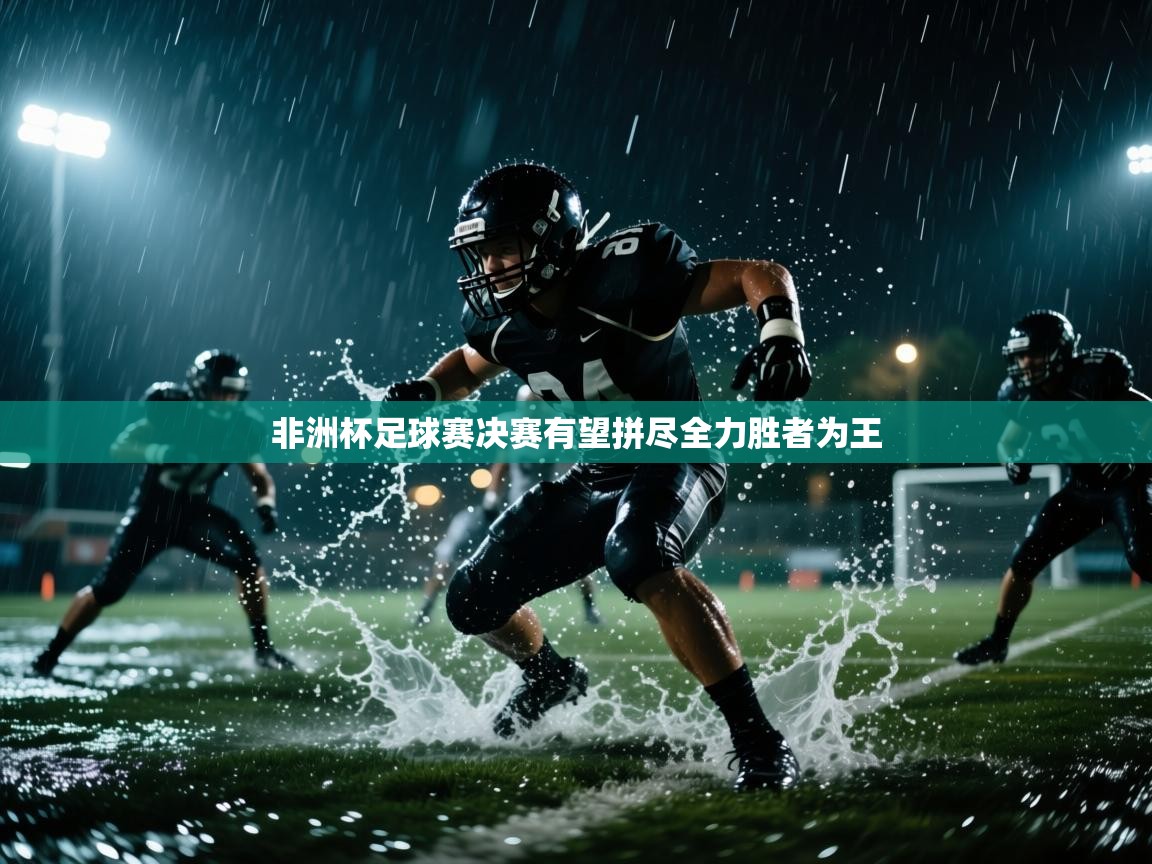 非洲杯足球赛决赛有望拼尽全力胜者为王  第1张