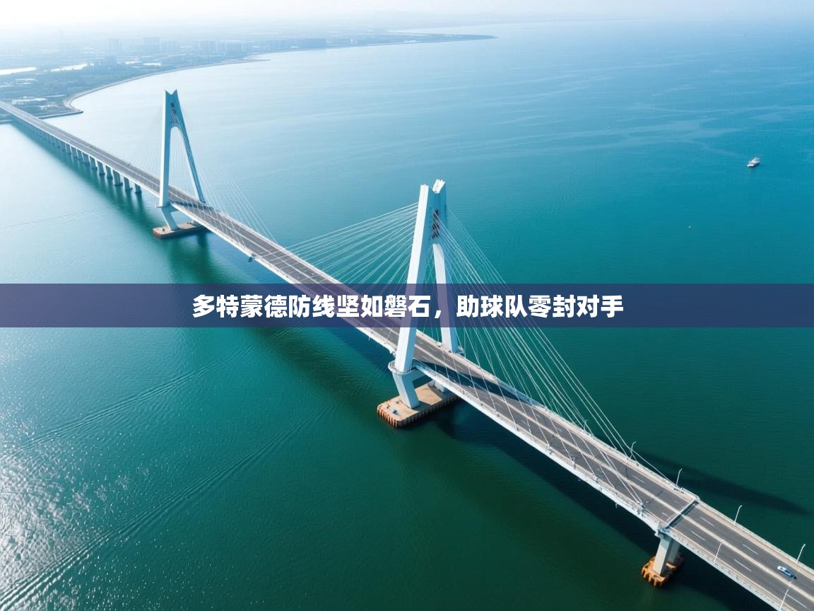 多特蒙德防线坚如磐石，助球队零封对手  第2张